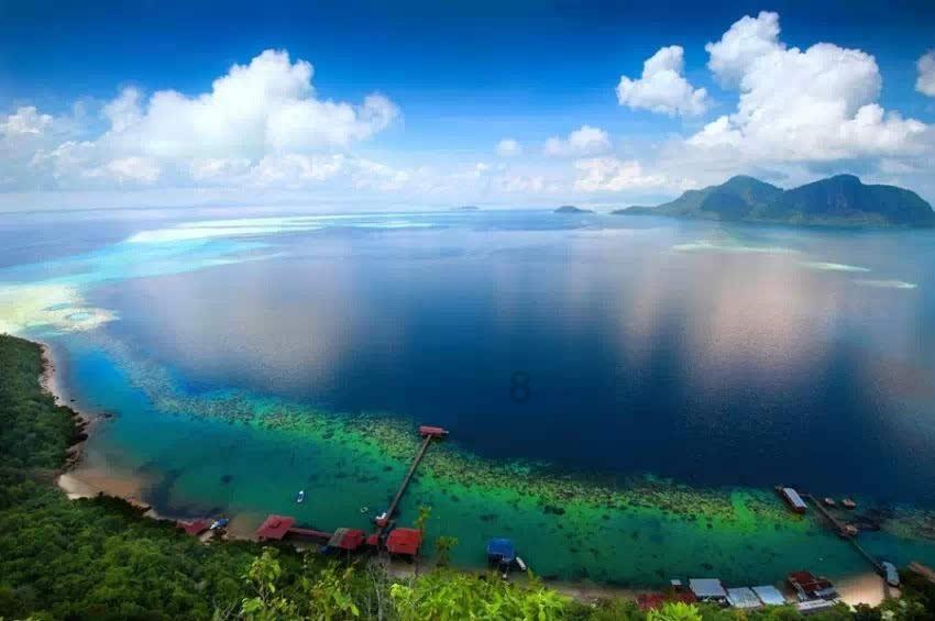 如果突然走红你会直播带货吗？游戏画面