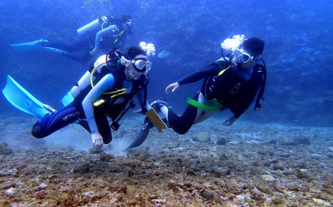 迈克生物：血清淀粉样蛋白A测定试剂盒取得注册证书