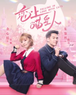 时尚太阳眼镜
