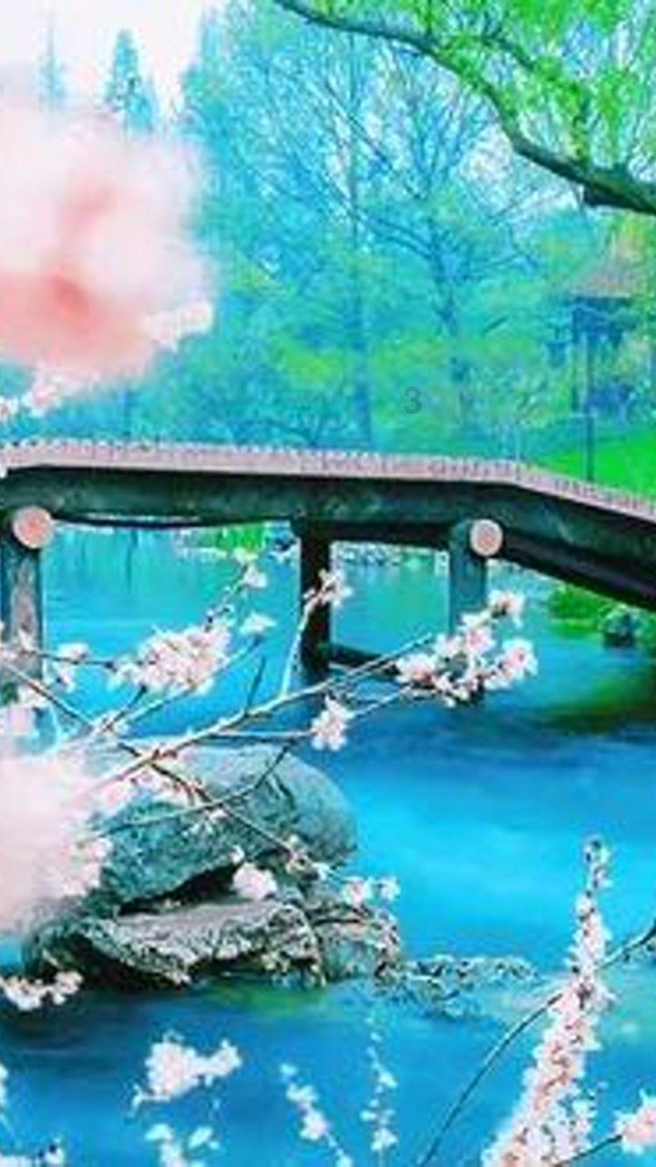 可爱小方块